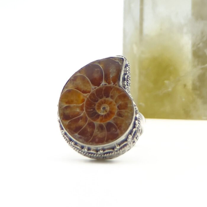 Anillo Amonita Talla 9